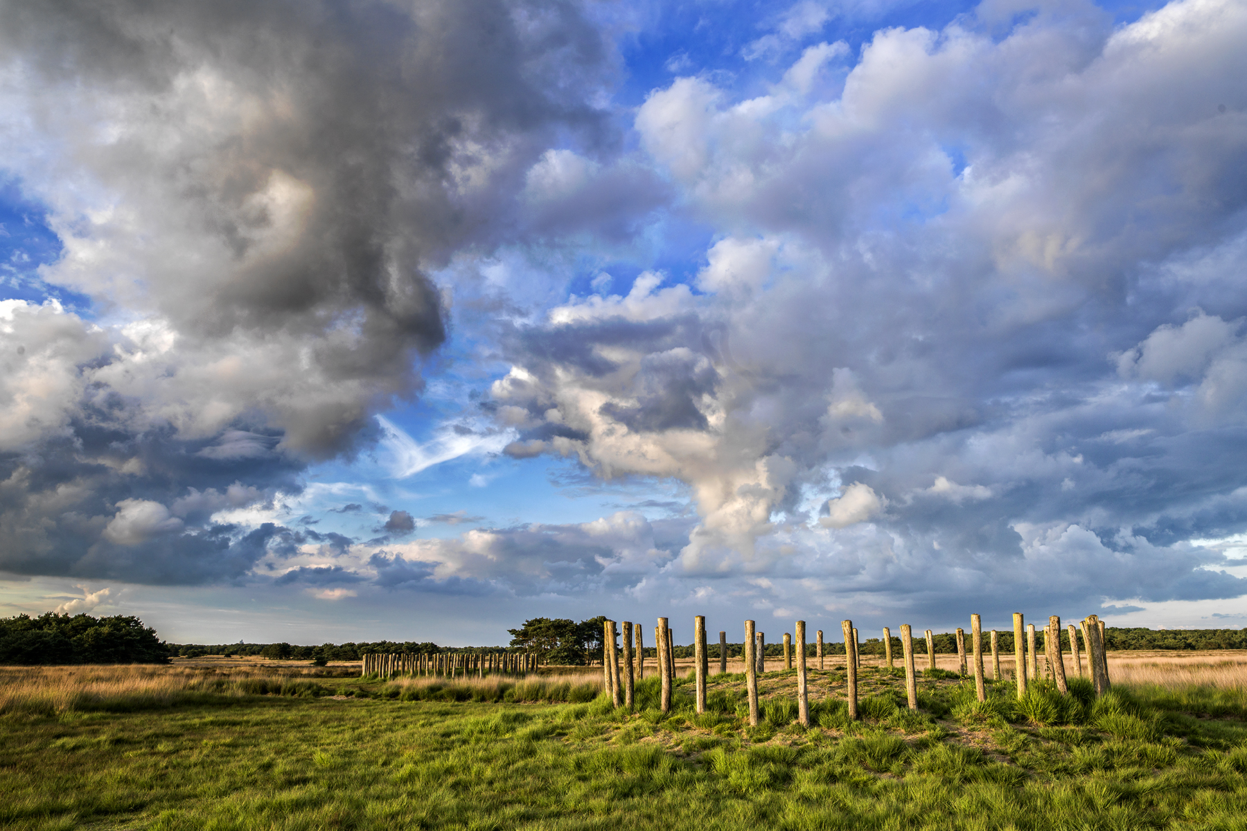 Regte heide